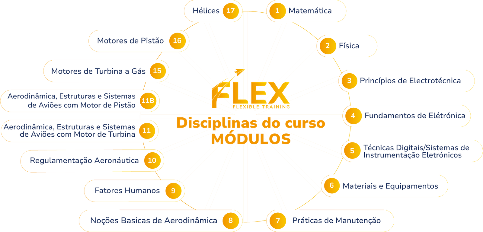 Curso E-learning Técnico Manutenção de Aeronaves | Programa Único na Europa por 6500€ 2 módulos licença mecânico aeronaves